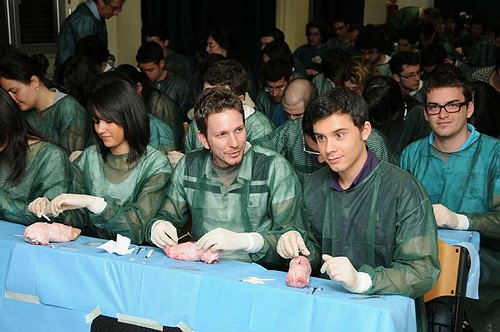 Facolt� di Medicina e Chirurgia