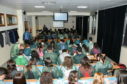 Facolt� di Medicina e Chirurgia