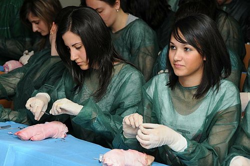 Facolt� di Medicina e Chirurgia