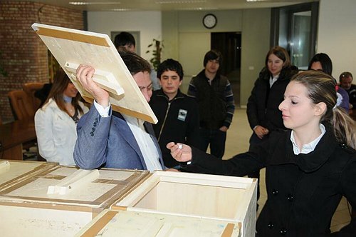 Progetto di Ricerca Europeo SEYLE