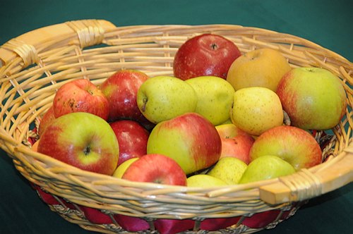 Universit� degli Studi del Molise