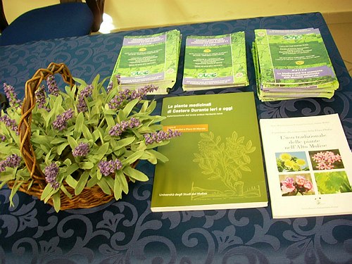 Universit� degli Studi del Molise