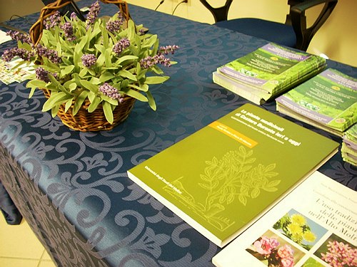 Universit� degli Studi del Molise