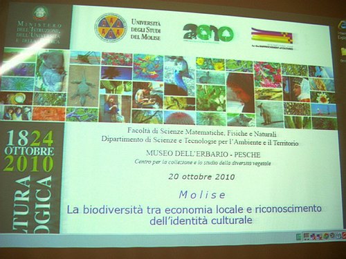 Universit� degli Studi del Molise