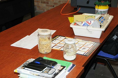 Universit� del Molise