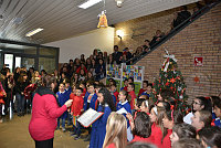Dalla Scuola primaria all’Università, alunni, studenti, tirocinanti, insegnanti all’opera per decorare l’Albero di Natale all’UniMol,