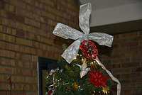 Dalla Scuola primaria all’Università, alunni, studenti, tirocinanti, insegnanti all’opera per decorare l’Albero di Natale all’UniMol,