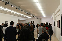 All'Aratro UniMol, 51 X 61, ​ ​la mostra personale di ​MINGO IACOVINO​. ​ Inaugurazione ​il ​16 maggio. A cura di Lorenzo Canova e Piernicola Maria Di Iorio