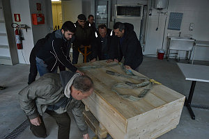 I resti di un cugino del mammut trovati sui monti della Sila da oggi presso il laboratorio archeologico dell’Ateneo molisano per il restauro.
