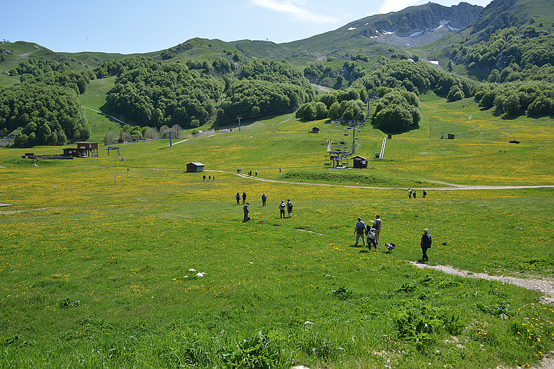 Università del Molise