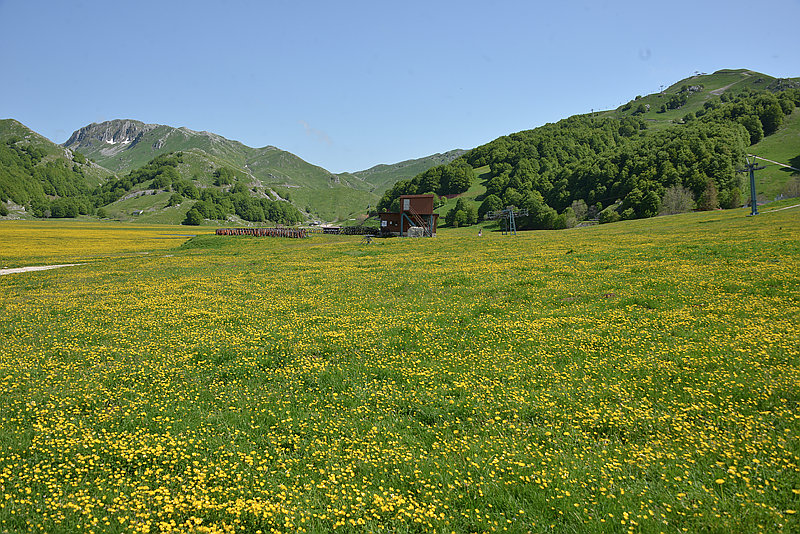 Università del Molise